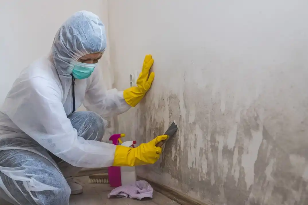 water damage restoration service Bedingher Place